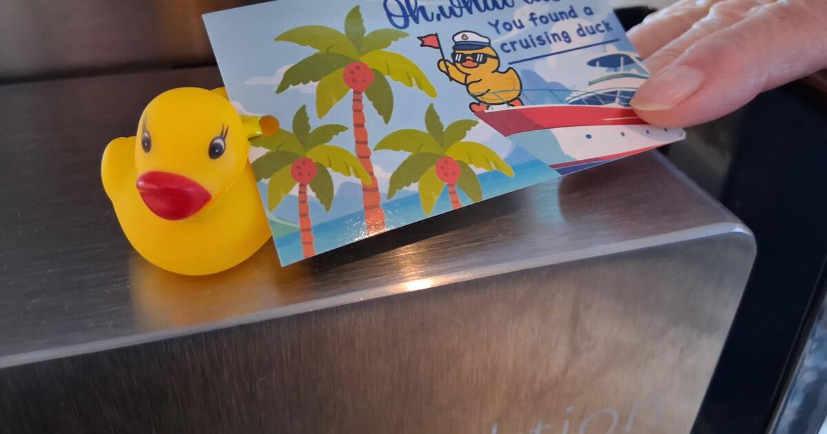 Gummienten an Bord verboten: Reedereien gehen gegen Passagier-Trend vor