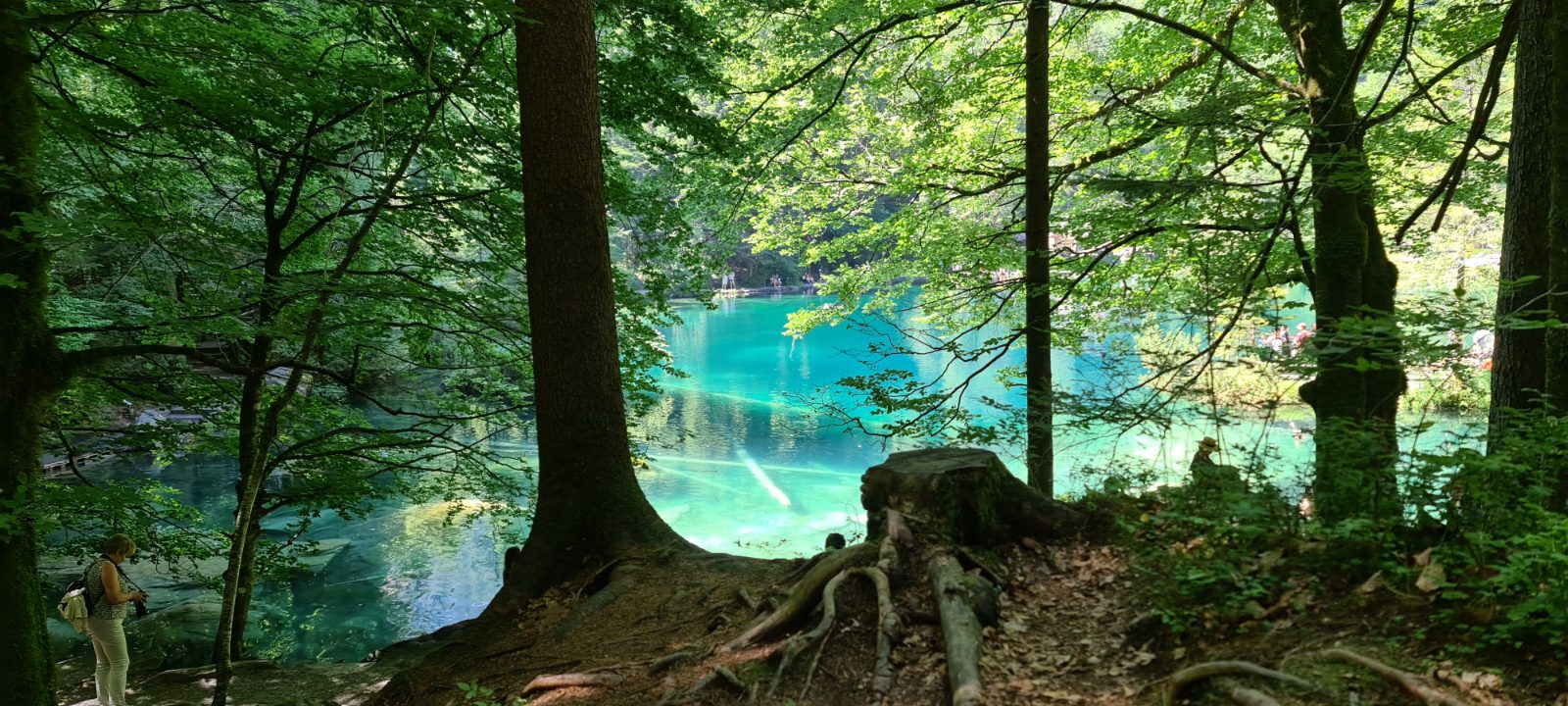 Blausee Bild 2