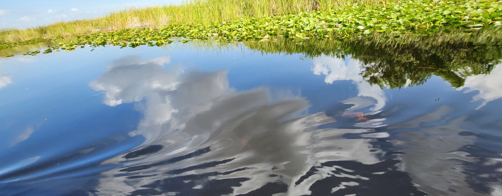 Everglades Bild 1