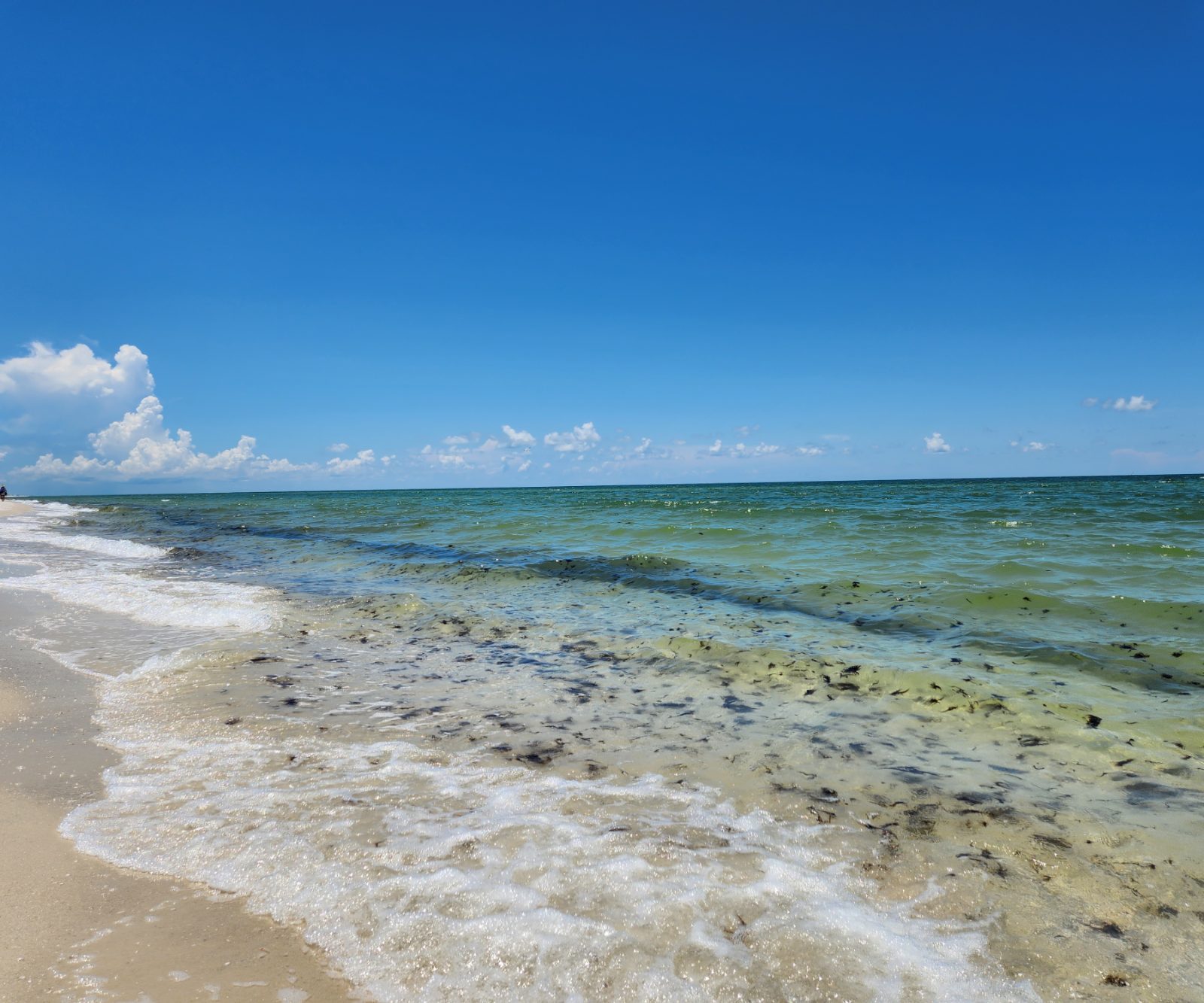 Clam Pass Park Bild 6