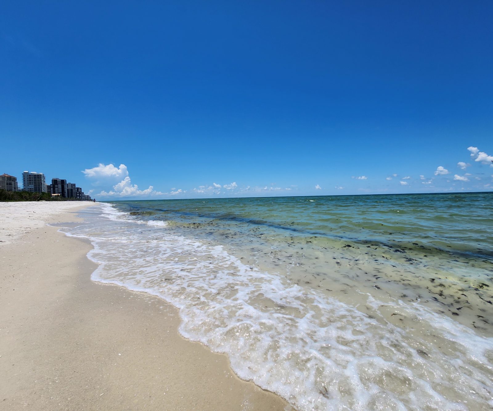 Clam Pass Park Bild 5