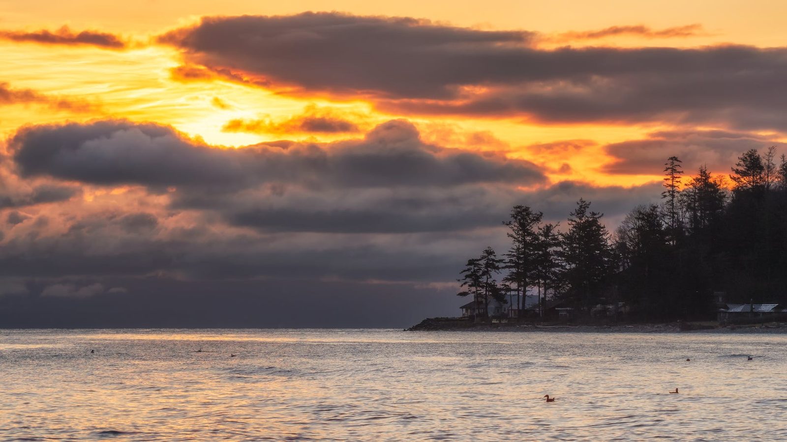 Vancouver Island Bild 4