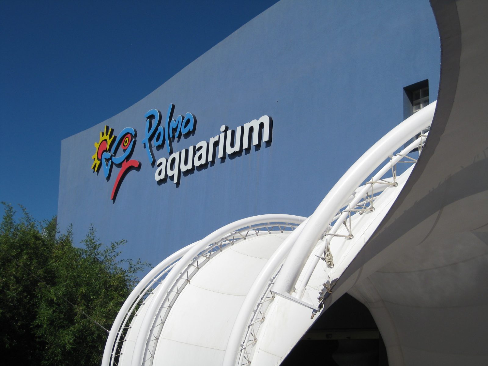 Palma Aquarium Bild 2
