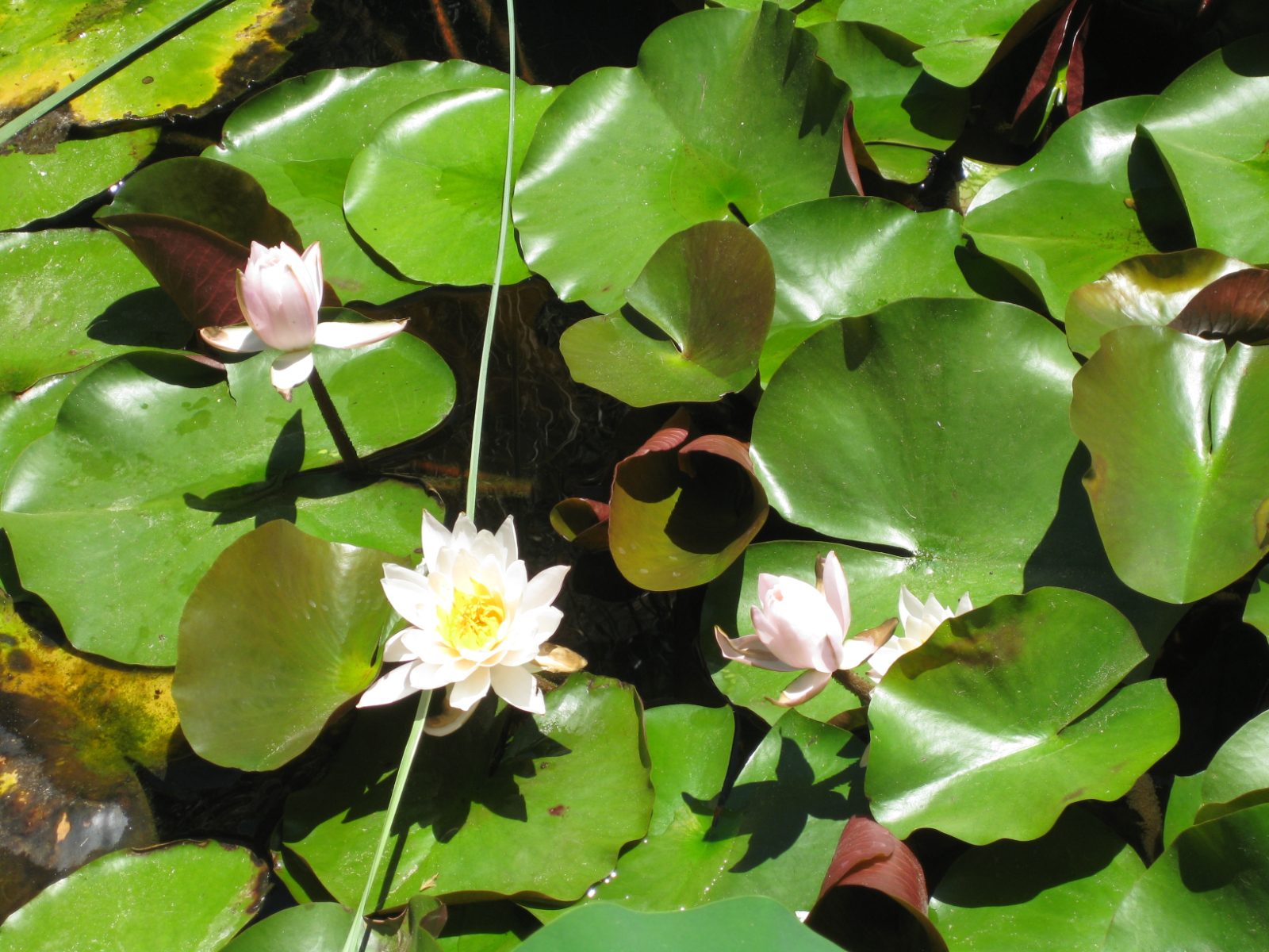 Palma Aquarium Bild 5