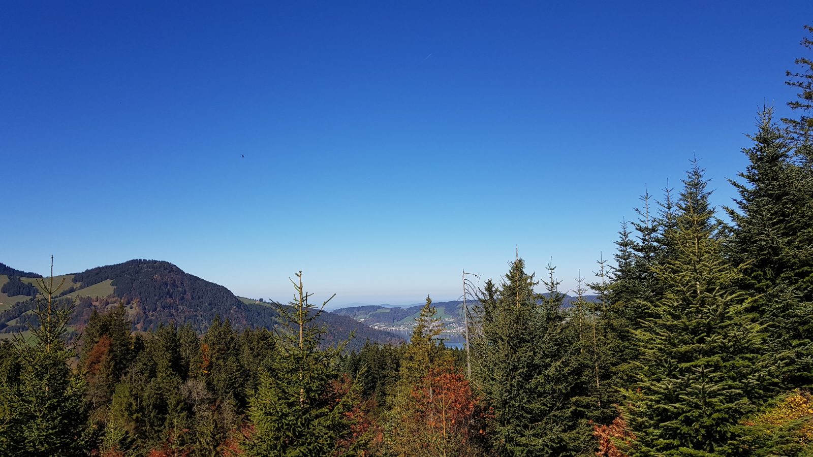 Sattel Hochstuckli Bild 6