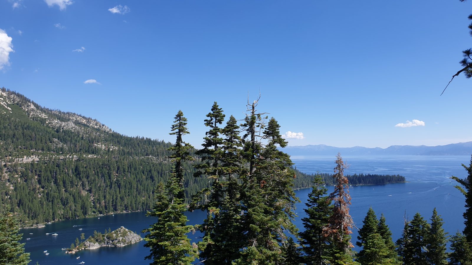 Lake Tahoe Bild 7