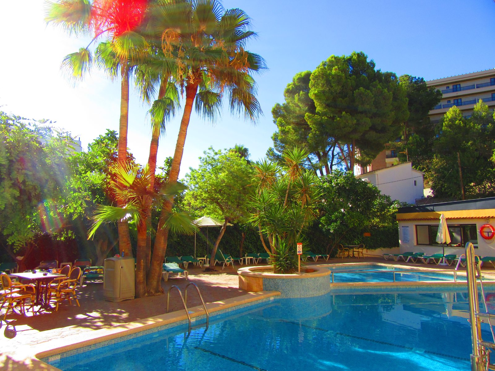 Flor Los Almendros, Paguera Bild 7