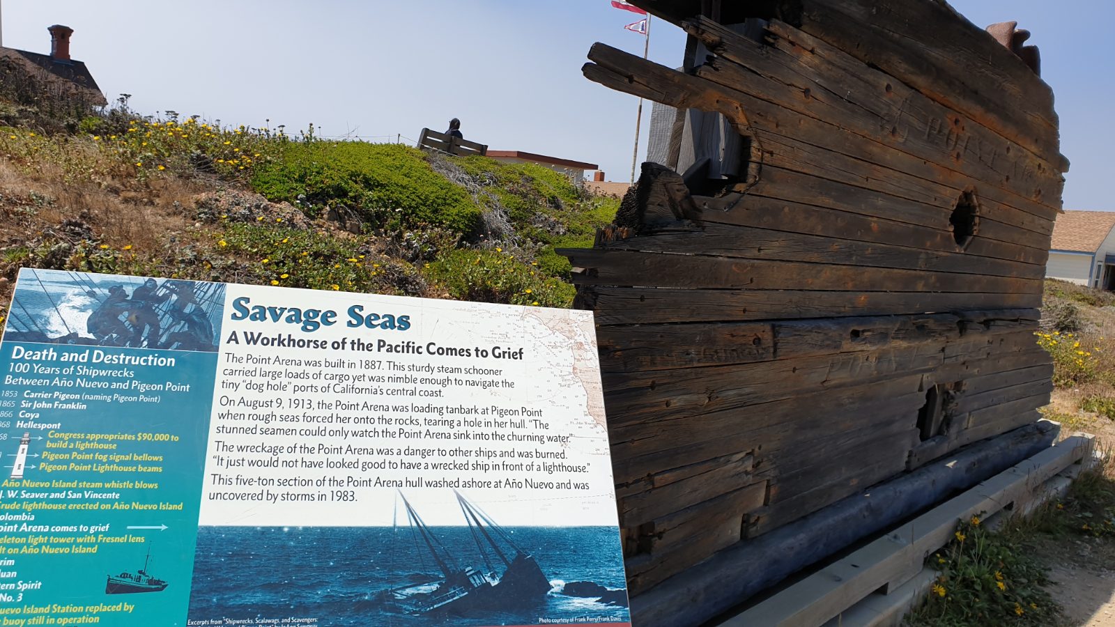 Pigeon Point Lighthouse Bild 4