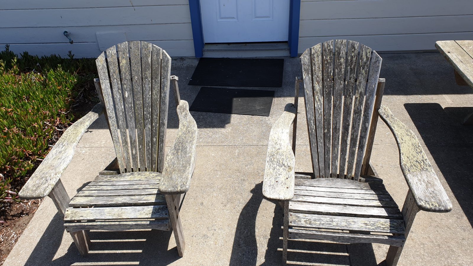 Pigeon Point Lighthouse Bild 9