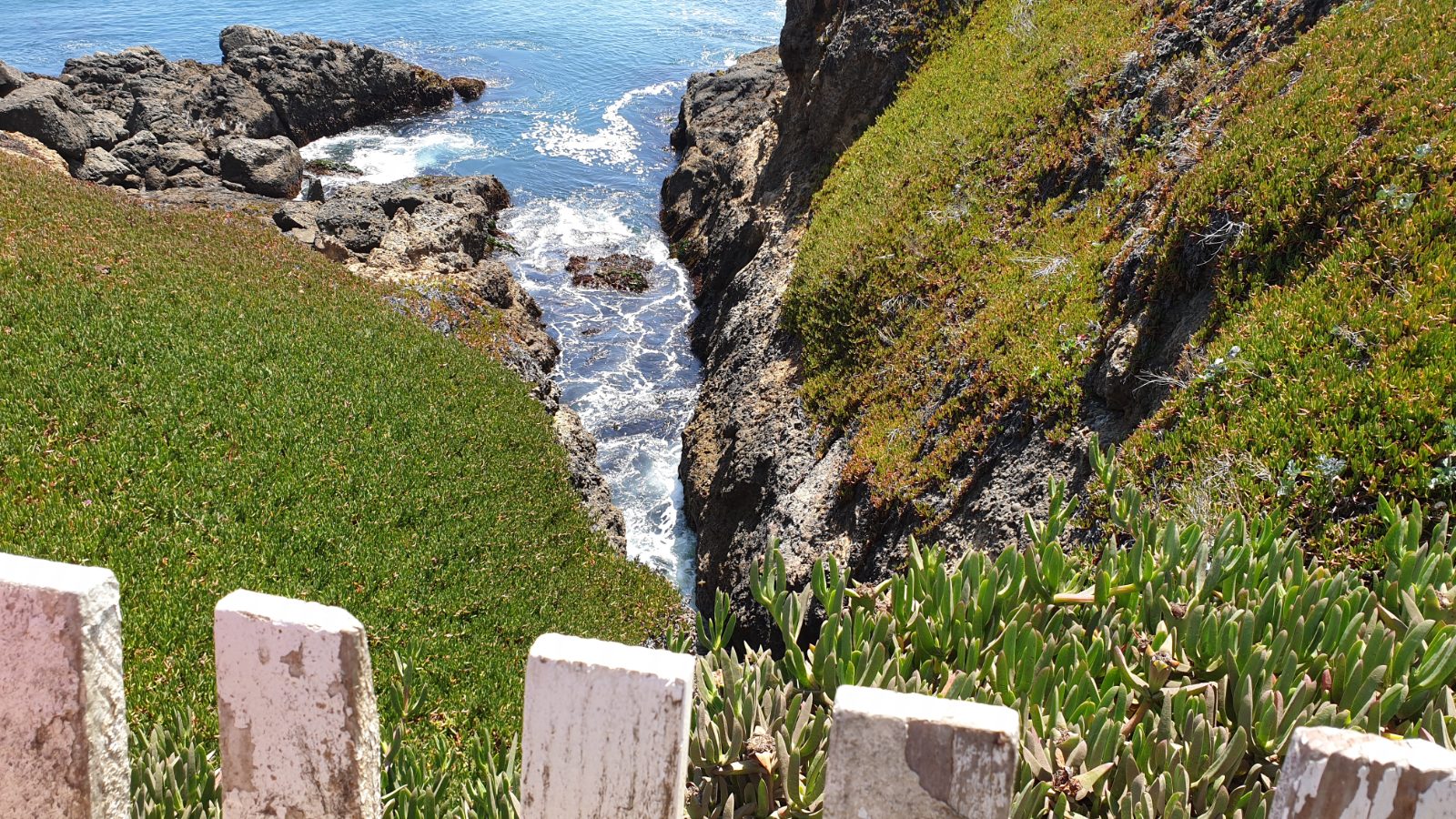Pigeon Point Lighthouse Bild 6