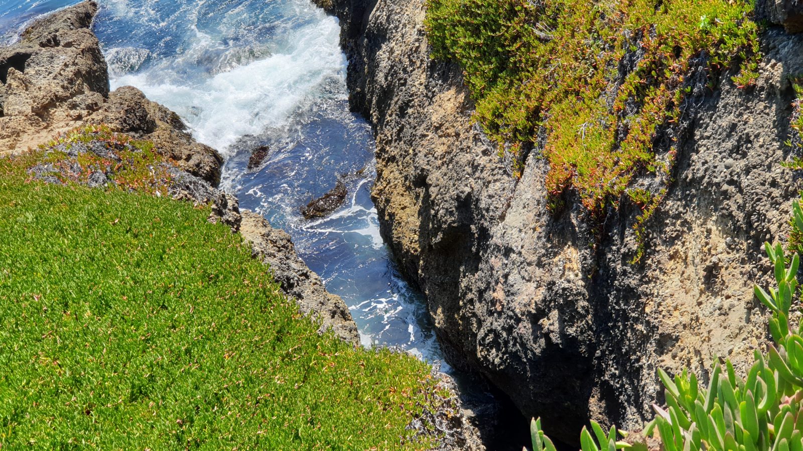 Pigeon Point Lighthouse Bild 7