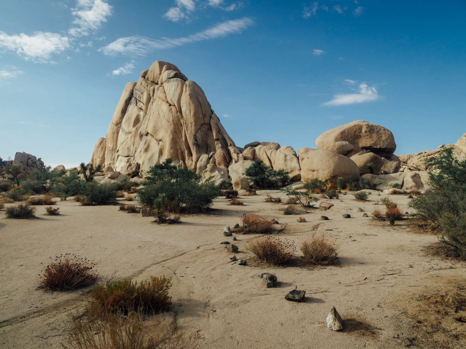 Joshua Tree National Park Bild 3