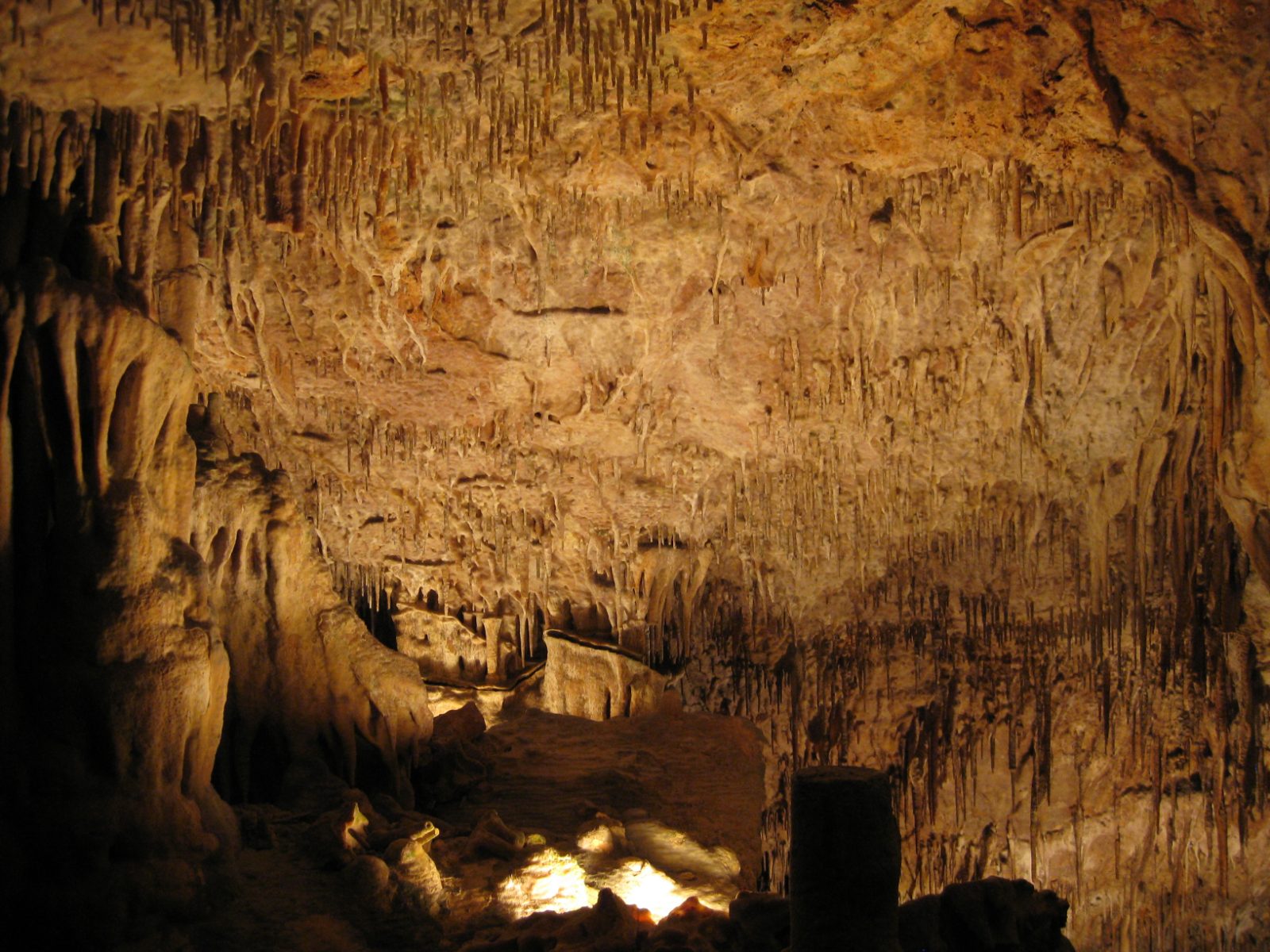 Porto Cristo und Cuevas del Drach Bild 3