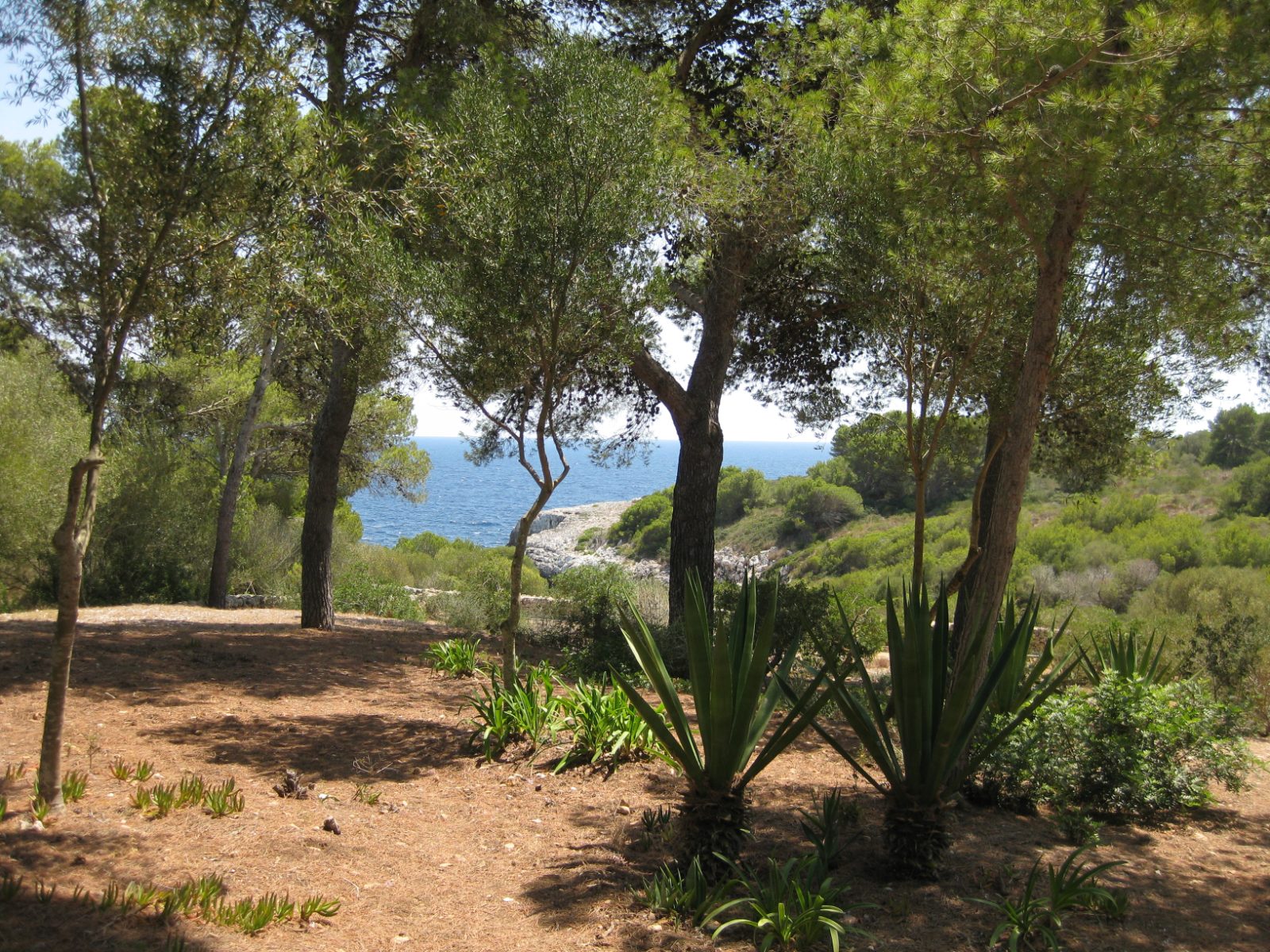 Porto Cristo und Cuevas del Drach Bild 2