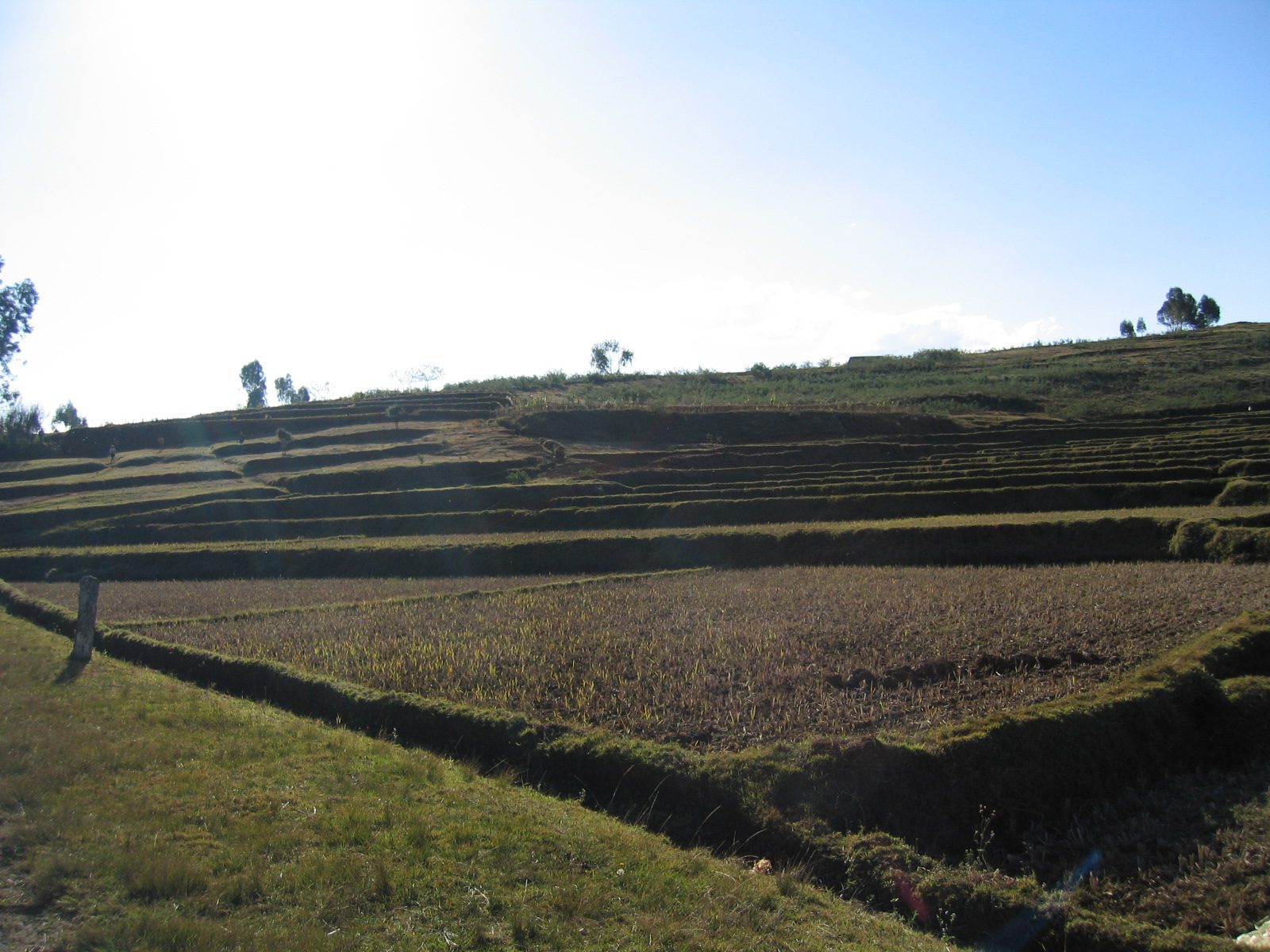 Madagaskar Bild 7