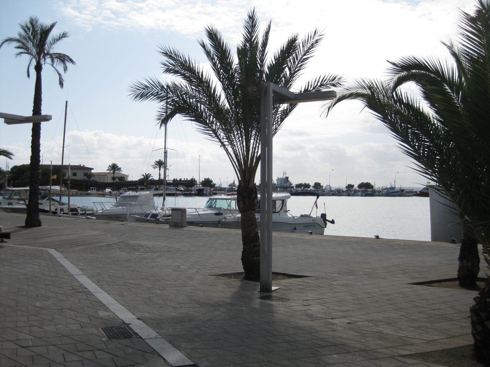 Alcudia Bild 6