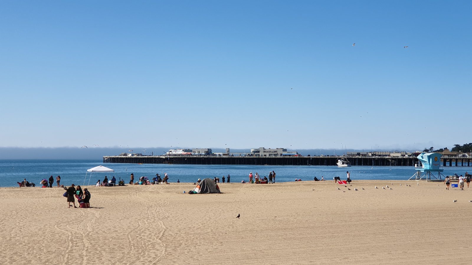Santa Cruz Bild 15