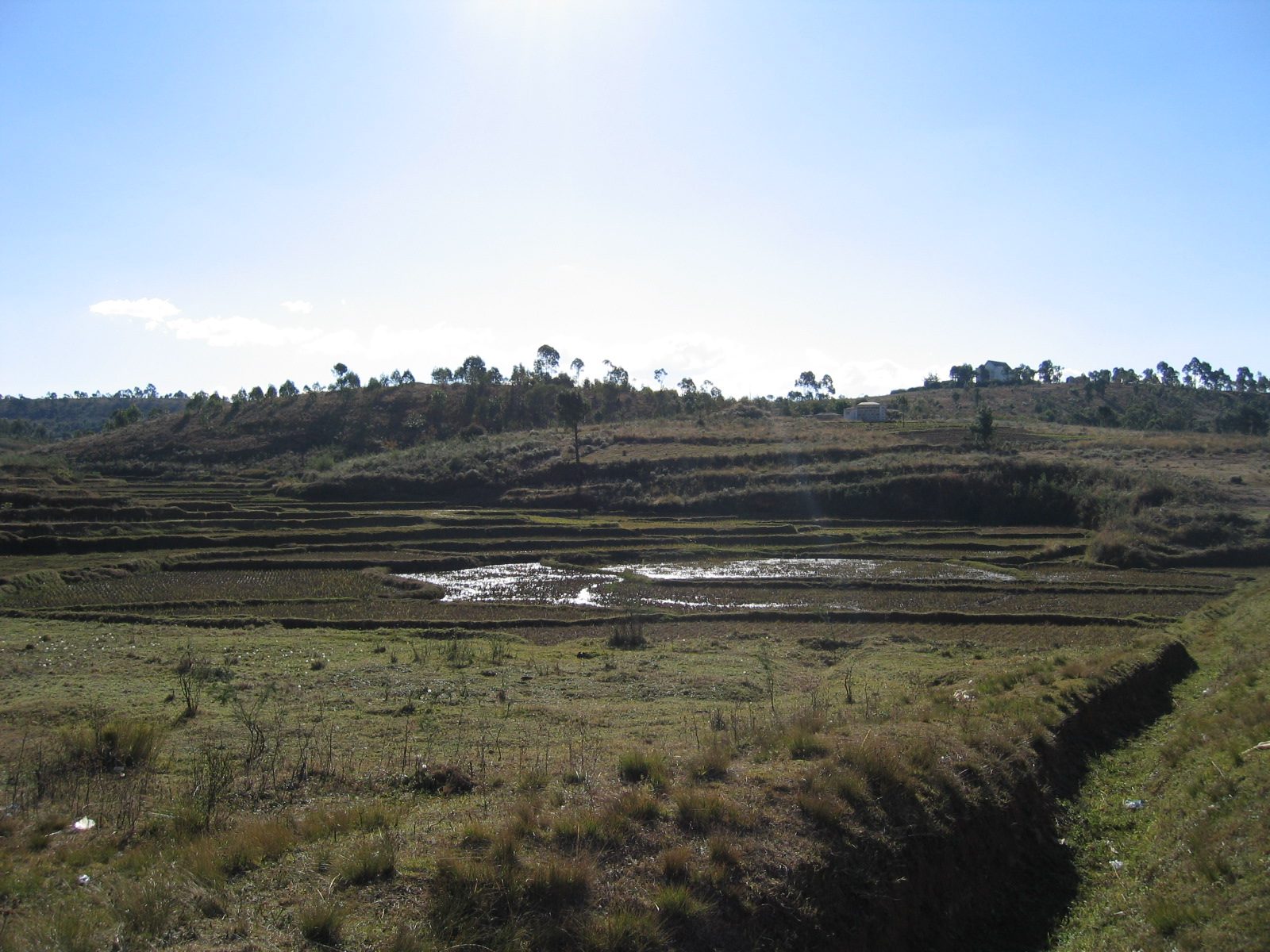 Madagaskar Bild 6