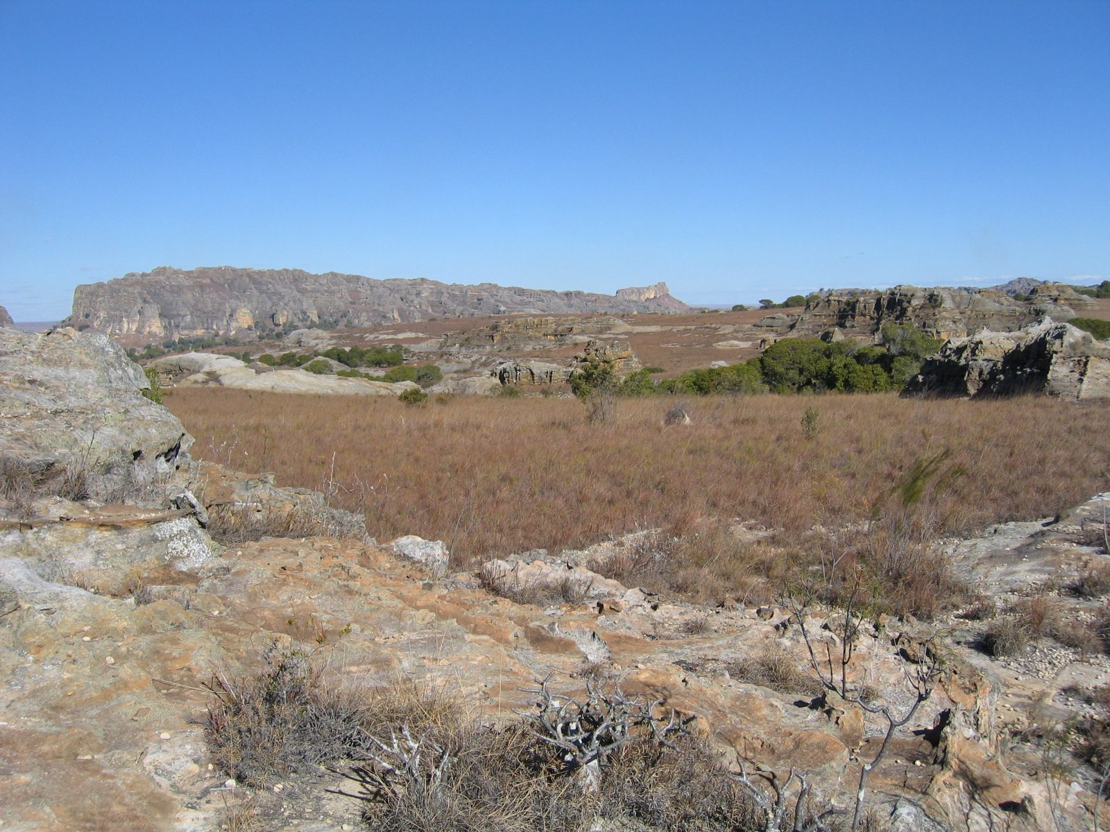 Madagaskar Bild 16