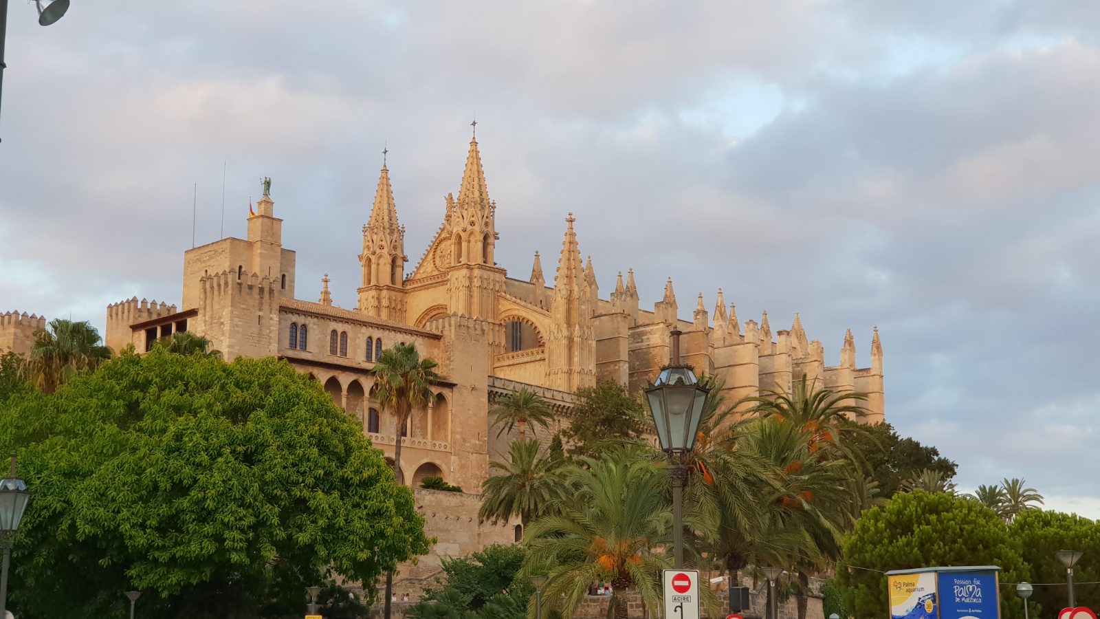Palma Bild 7