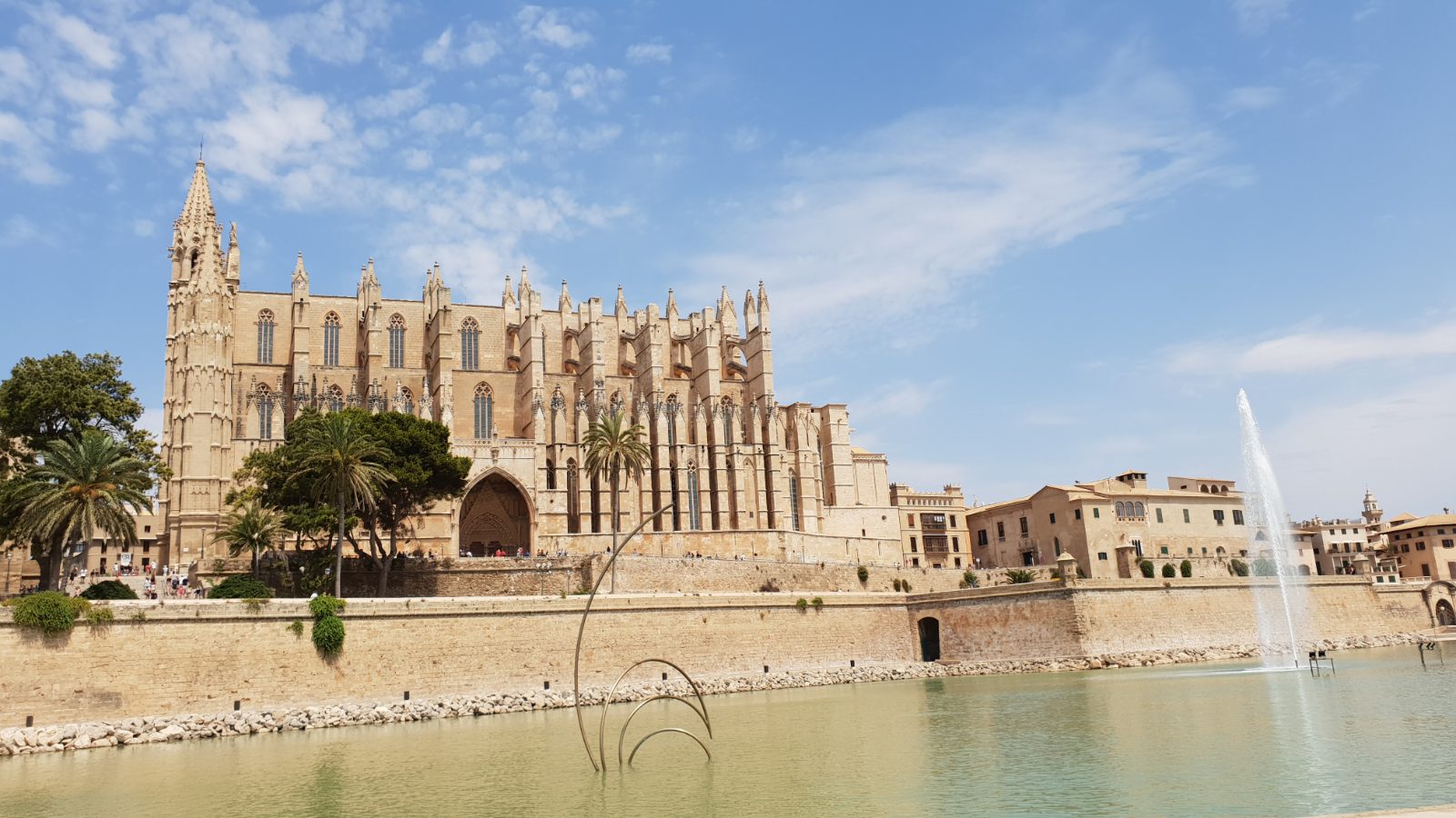 Palma Bild 1