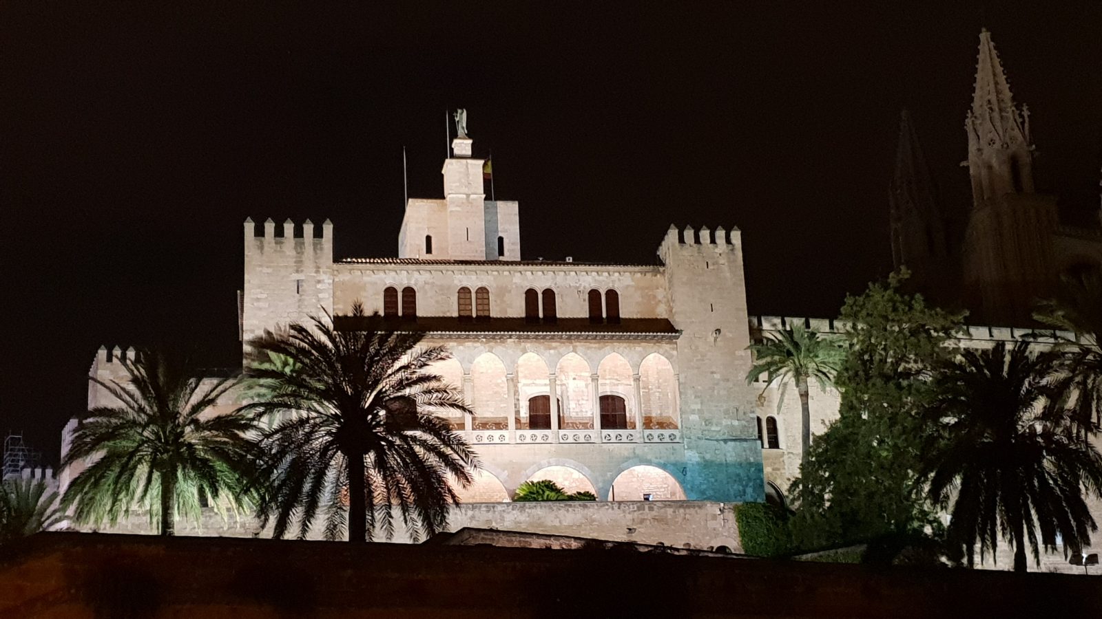 Palma Bild 9