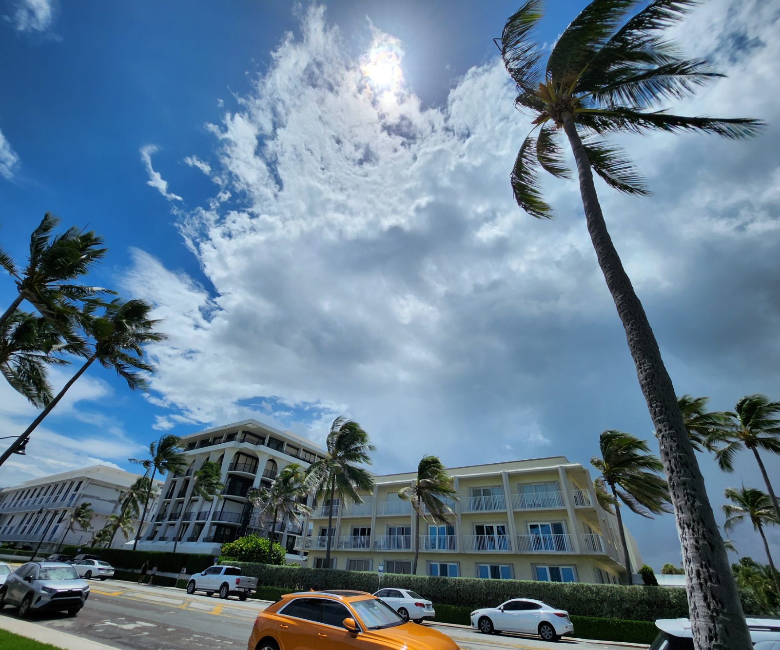 Palm Beach Bild 1