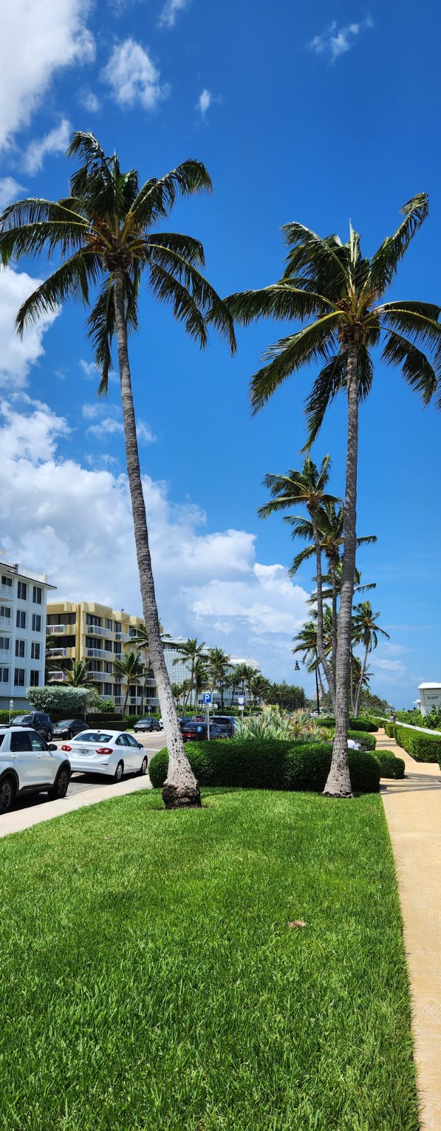 Palm Beach Bild 7