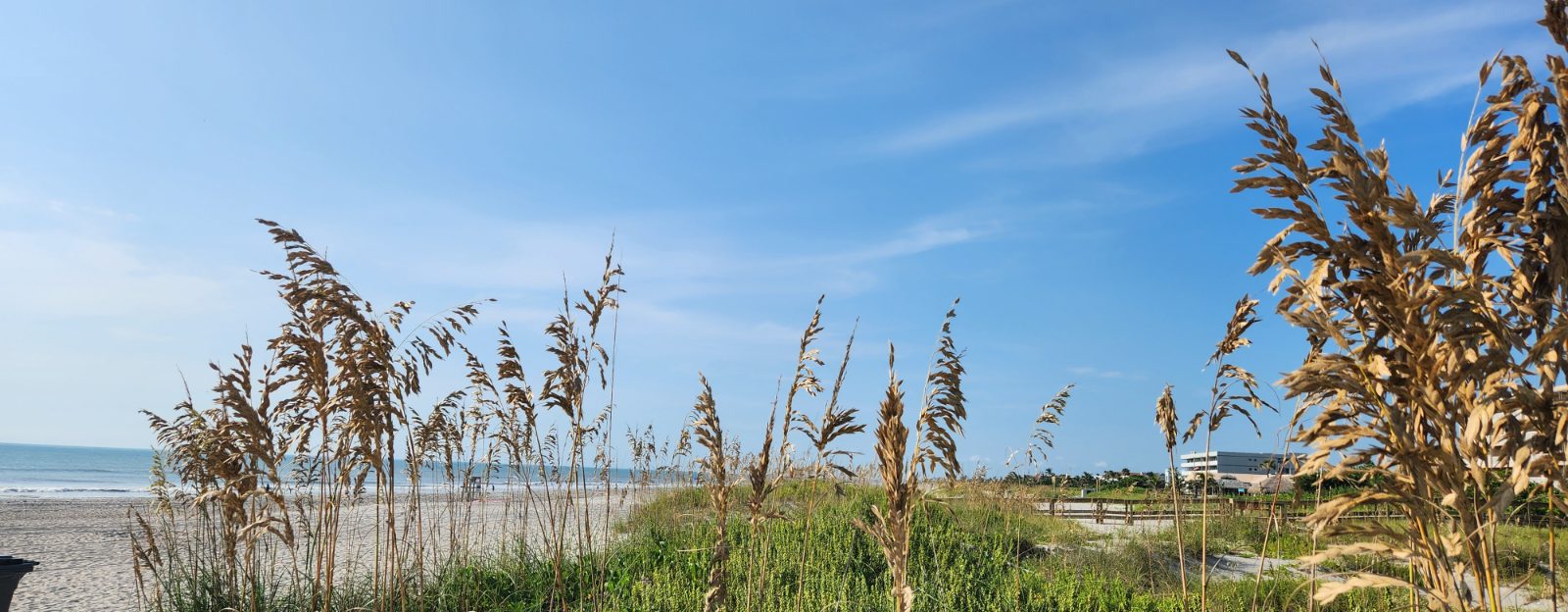 Cocoa Beach Bild 4