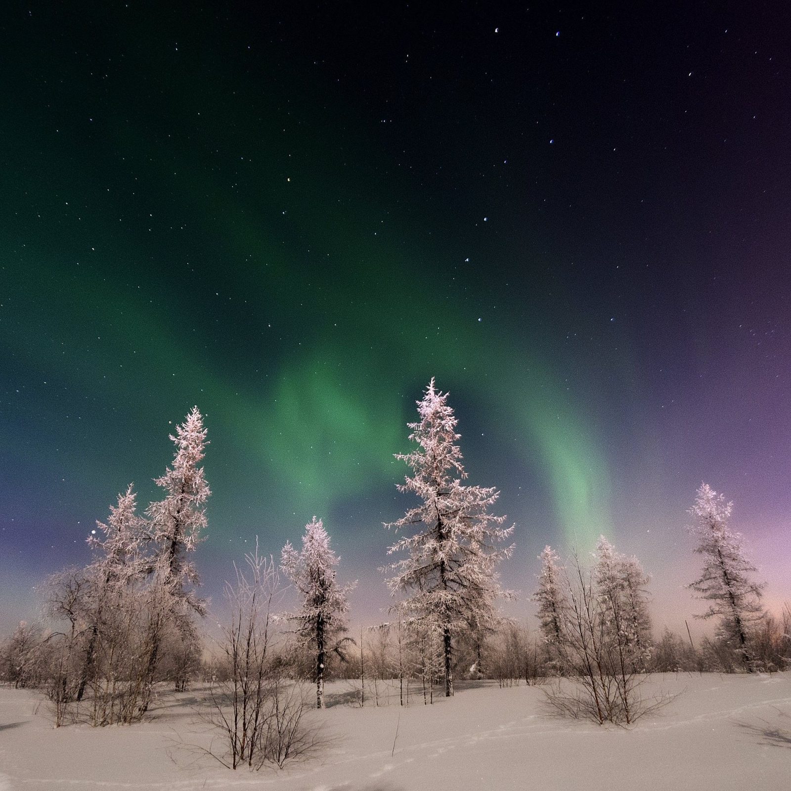 Rovaniemi Bild 4