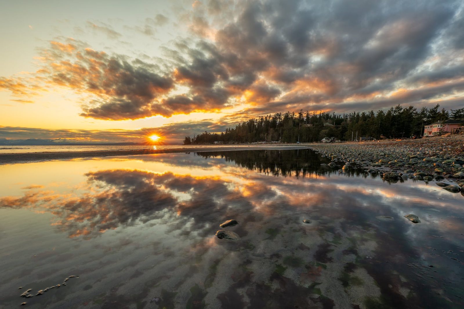 Vancouver Island Bild 7