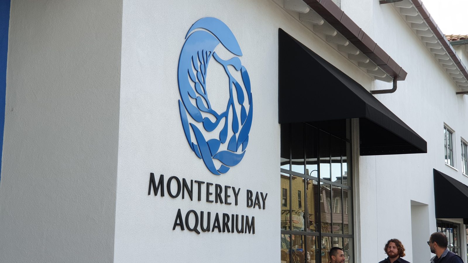 Monterey Bild 10