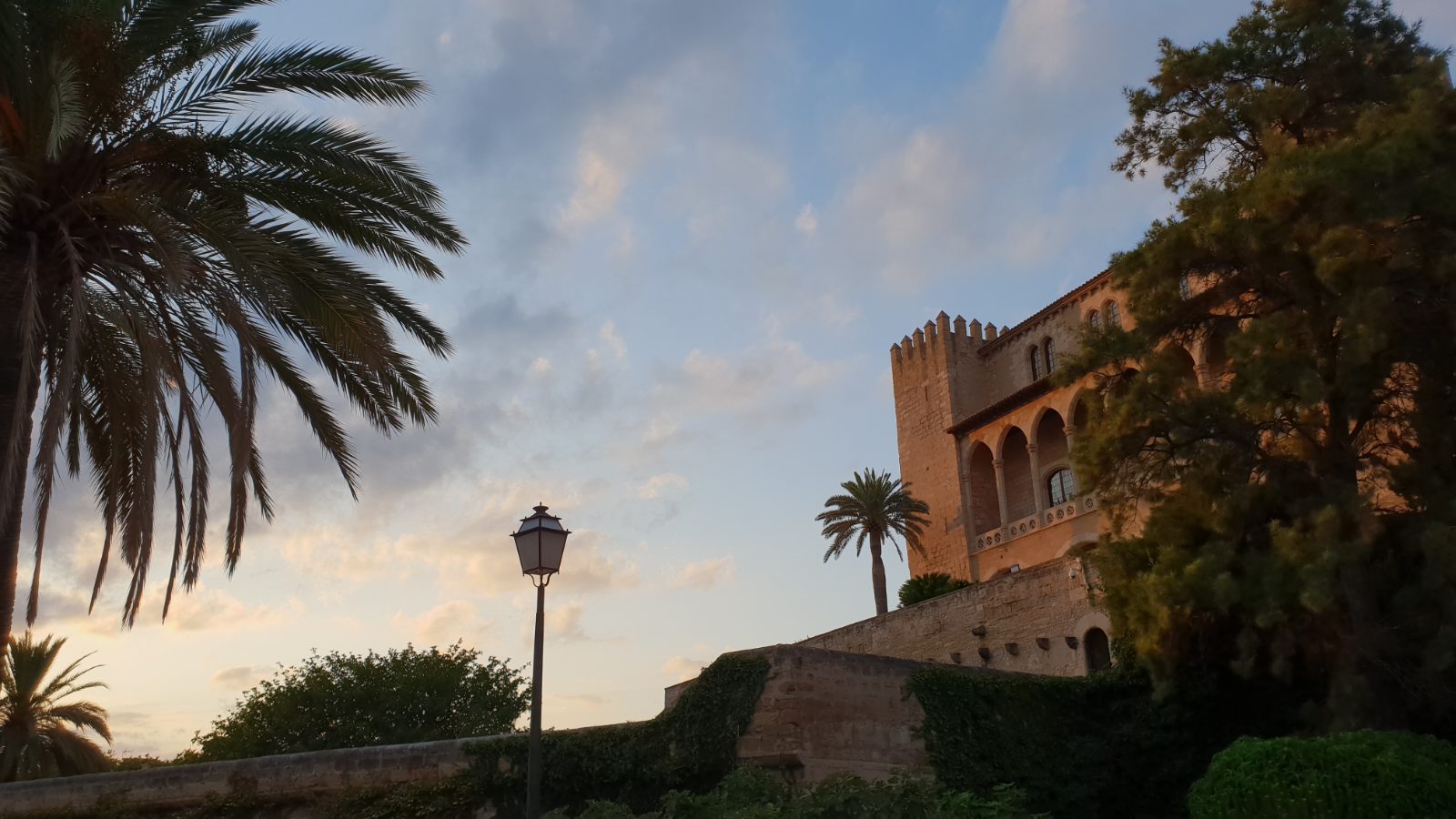 Palma Bild 6