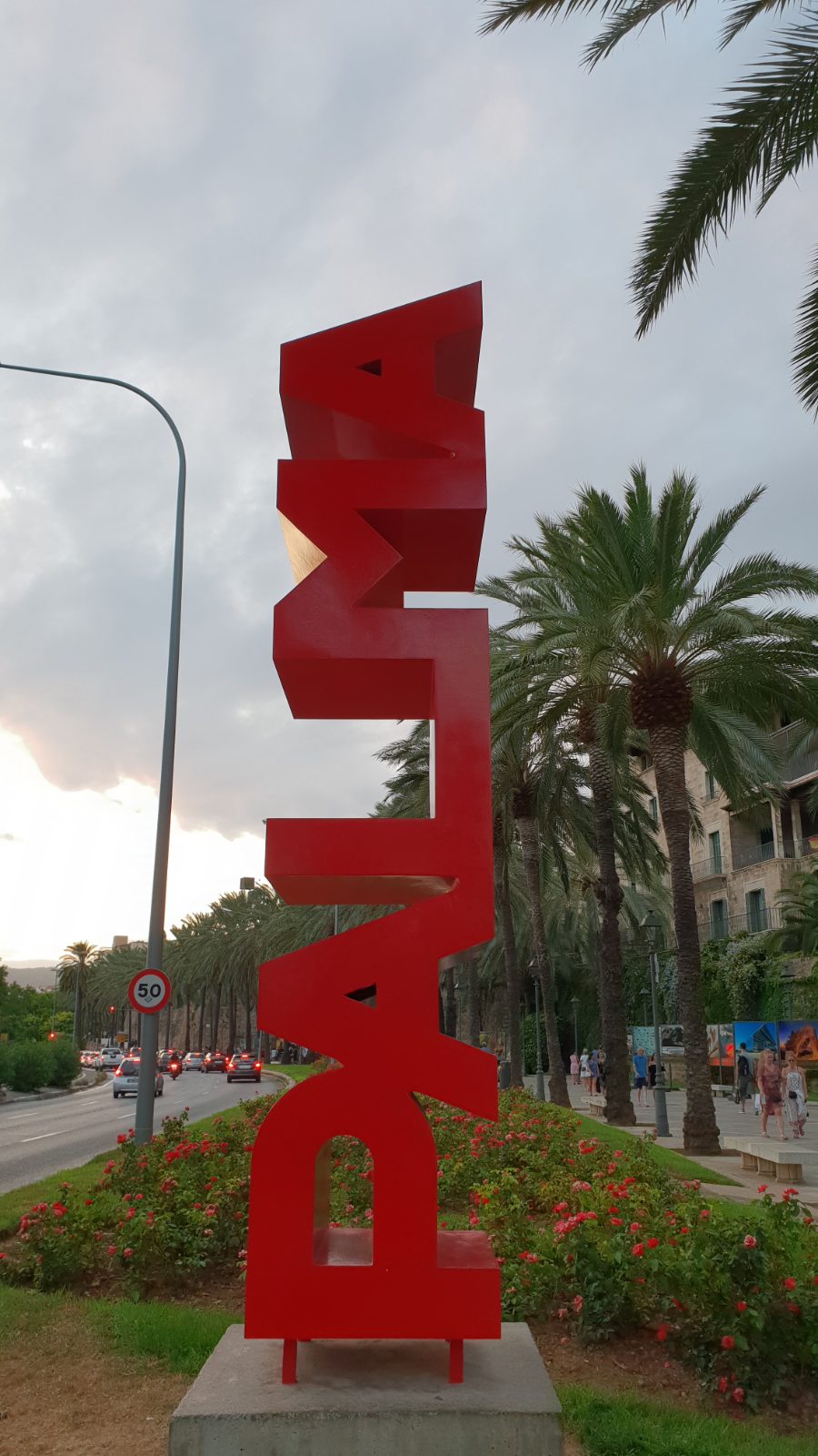 Palma Bild 8