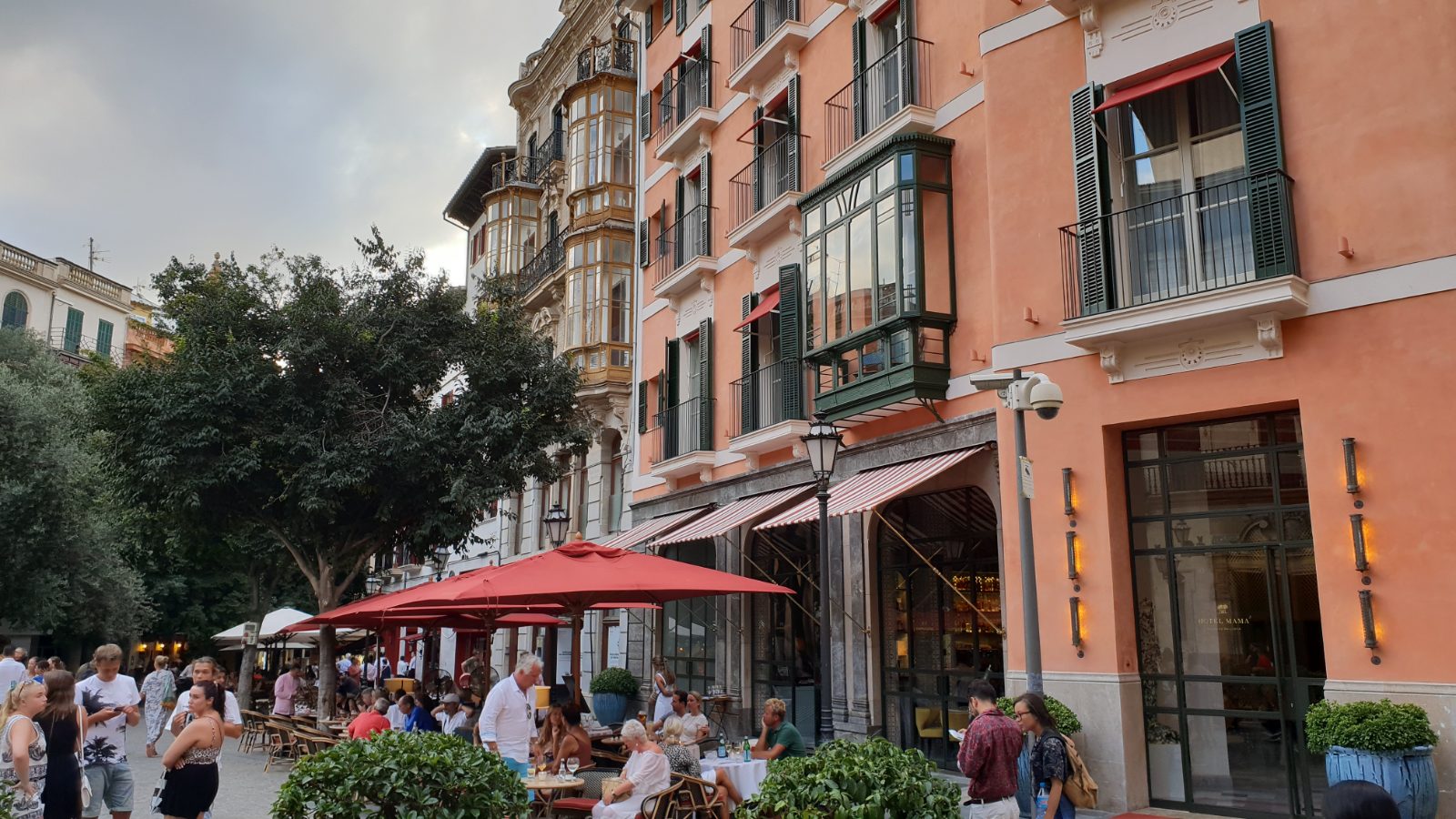 Palma Bild 3
