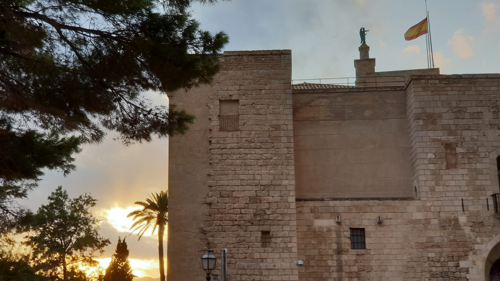 Palma Bild 5