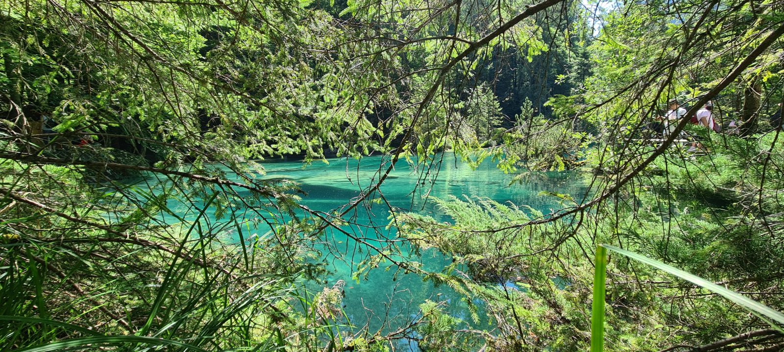 Blausee Bild 1