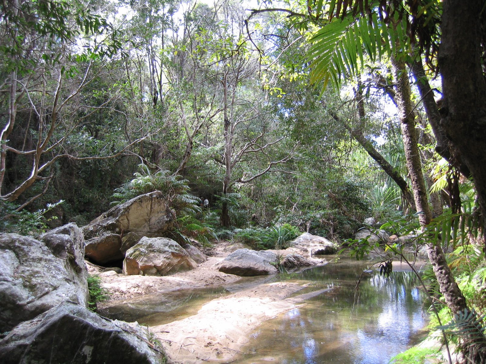 Madagaskar Bild 15