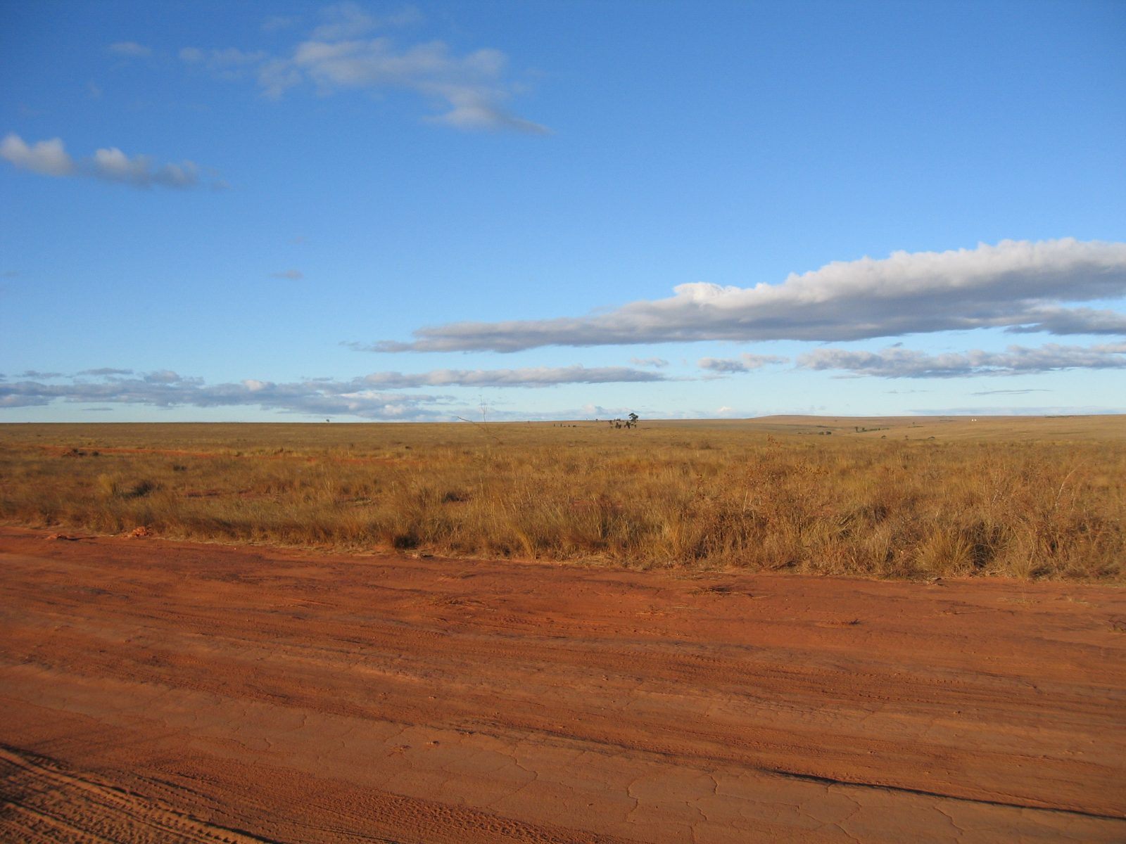 Madagaskar Bild 12