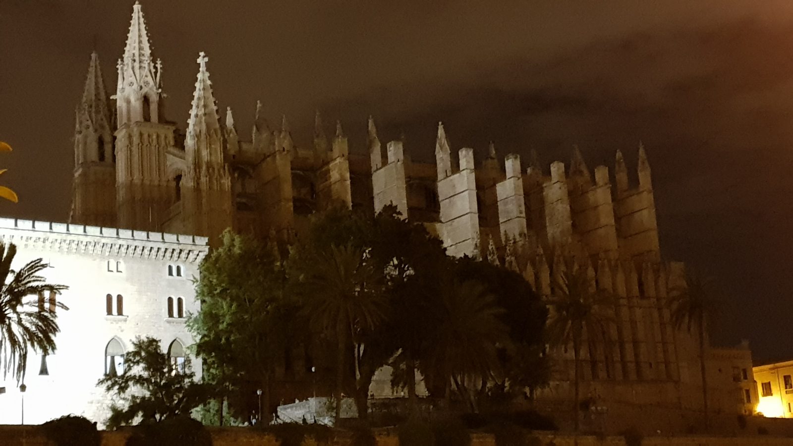 Palma Bild 10