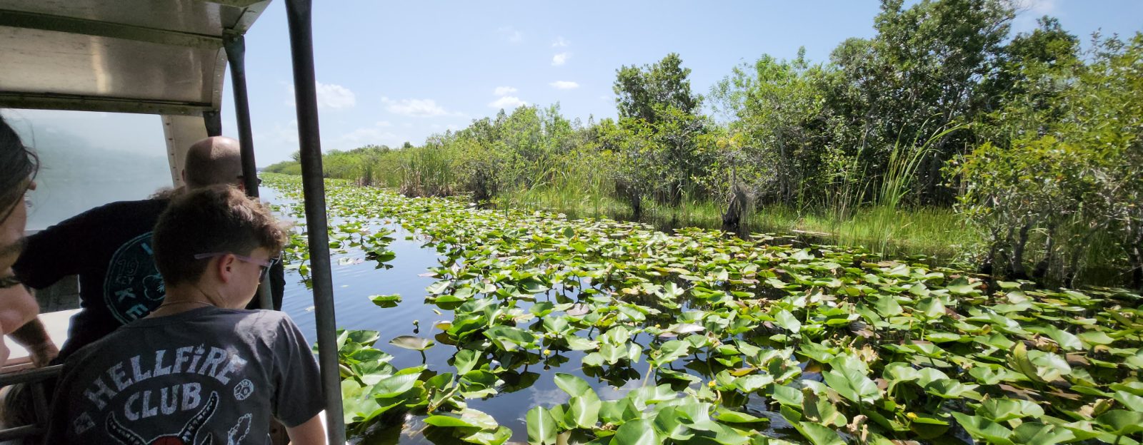 Everglades Bild 6