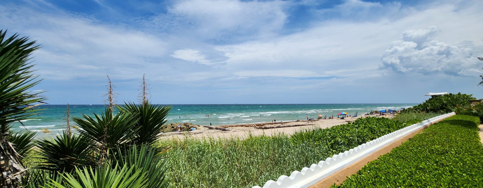 Palm Beach Bild 5